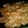 Cooksnap dari Ika Ramandey untuk resep Ayam fillet crispy