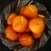 Krupa's cooksnap of when they made ગુલાબ જામુન (Gulab Jamun Recipe in Gujarati).