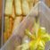 Cooksnap dari Nadi@ra Cake untuk resep Lidah Kucing
