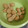 Cooksnap dari ivance untuk resep Pempek adaan dan kuah cuko (resep NCC)