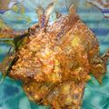 Cooksnap dari wylan untuk resep Gulai ikan Bawal (Tanpa santan)