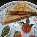Lovely Agrawal's cooksnap of when they made Veg grilled cheese sandwich.