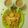 Saroj Shah's cooksnap of when they made મસાલા ચા (Masala Tea Recipe In Gujarati).