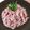 Cooksnap dari Indah Mei untuk resep Cenil Bunga Telang Saus Kinca