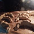 Soós Eszter Cooksnap-ja, amikor elkészítette a(z) Tejes kifli receptet.