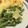 Danielle Oxley's cooksnap of when they made Parmesan Garlic String Beans.