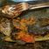 Cooksnap dari Ellysabeth Kurnia untuk resep Pepes ikan kembung