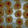 Cooksnap dari neo supresti untuk resep Kue Semprit Mawar