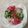 Kulsoom Bukhari's cooksnap of when they made Simple salad.