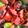 Dory's cooksnap of when they made Tomato salad with basil.