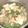 Cooksnap dari Arsida Sri Widayati untuk resep Sop Bakso Tofu