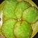 Cooksnap dari Desi Inswinastiti untuk resep Kue Cucur Pandan
