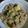 Cooksnap dari aliza untuk resep Sayur Lombok