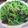麗麗 的 【厚生廚房】莧菜炒皮蛋 cooksnap