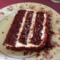 El cooksnap de Catalina Constanza A. Roa cuando hizo Tarta Red Velvet.