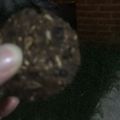 El cooksnap de Sheila Gutierrez cuando hizo Cookies de avena, cacao y okara de maní 🍪.