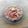 El cooksnap de Jose Gon cuando hizo Alubias pintas con olla expres. Receta vegana.