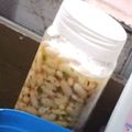 El cooksnap de vanesa sosa cuando hizo Omelette de Zucchini.