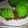 Cooksnap dari Ike Nya Fauzy untuk resep Rainbow Cake Kukus Ala Ny. Liem