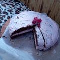 Сooksnap від Марічка, який(а) приготував(ла) Швидкий шоколадний кекс-бісквіт до чаю без яєць.