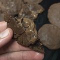 صورة من mjodee97، شاركها بعد تجربة وصفة كوكيز سريع 🍪😲💪🏿