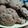 Rowan Laidlaw's cooksnap of when they made Ken's Ultimate (Chocolate) Chip Cookie Recipe.