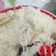 Cooksnap dari Gloria Birana untuk resep Nasi Liwet ala Emak Dewi