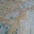 El cooksnap de Matias Varesi cuando hizo Fideos caseros (pasta al huevo).