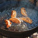 El cooksnap de Javier Perez Gajardo cuando hizo Empanadas de carne cortadas a cuchillo fritas.
