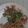 El cooksnap de Magaly Mtz cuando hizo Pollo salteado con vegetales 🥗🐥.
