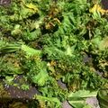 Kate Carless's cooksnap of when they made 🥬 Basic☆ Kale snack - roasted kale chip ❤️.