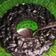 Cooksnap dari Afifah Rahmah S. untuk resep Brownis oreo kukus 2 bahan