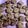 El cooksnap de Soledad Botto cuando hizo Galletas de avena con pasas de uva y nueces.