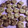 El cooksnap de Soledad Botto cuando hizo Galletas de avena con pasas de uva y nueces.