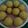 Pankti Baxi Desai's cooksnap of when they made ફીણીયા લાડુ(Finiya laddu recipe in Gujarati).