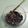 Cooksnap dari Naim Ainun untuk resep Cumi Hitam Pedas Saus Tiram