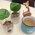 蔣凱如 的 簡易版家常肉燥 cooksnap