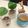 蔣凱如 的 簡易版家常肉燥 cooksnap