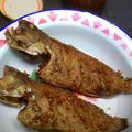 Cooksnap dari rihma suladria untuk resep Ikan kerapu goreng gurih
