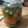 El cooksnap de ema aviles cuando hizo Pickles.