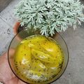 Rina Das's cooksnap of when they made আমের চাটনি (Aamer Chutney, Recipe in Bengali).