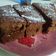 El cooksnap de Charo De La Torre cuando hizo Brownie al microondas de chocolate con nueces.