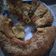 Cooksnap dari susi ariani untuk resep Bolu pisang lembut dan wangi
