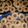 El cooksnap de Celica Melian cuando hizo Galletas de café.