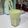 Cooksnap dari Sarah Verhoeven untuk resep Juice Pisang Alpukat Susu