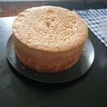 El cooksnap de Micaela cuando hizo Bizcochuelo simple para postres y tortas de cumpleaños.