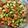 Disha Prashant Chavda's cooksnap of when they made ફણગાવેલા મગ નું સલાડ(Sprouted mung salad recipe in Gujarati).