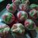Cooksnap dari Baiq Widy Maia Febrya untuk resep Bolu kukus mekar