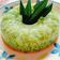 Cooksnap dari Suciayu Marantika untuk resep Puding keramik ijo lumut