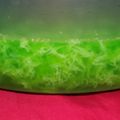 Cooksnap dari Lia Luthfia 'RWijaya untuk resep Puding Lumut Pandan